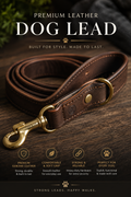 Premium Leather Dog Lead